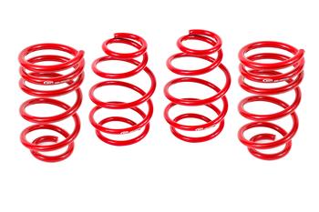 Lowering Spring Kit, Set Of 4, 1.0" Drop, V8 - YellowHammer RacingSP019